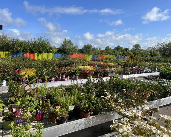 Woodford Garden Centre