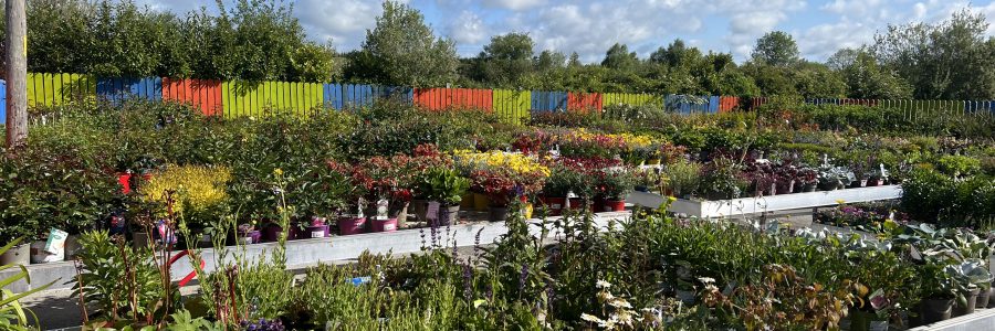 Woodford Garden Centre